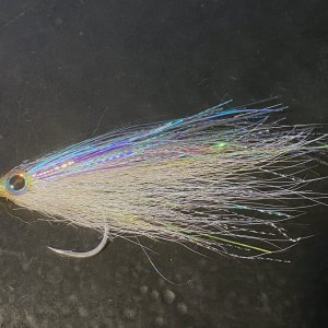 A08FirstFly9920.jpg