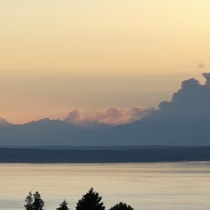 IMG_3880.jpeg