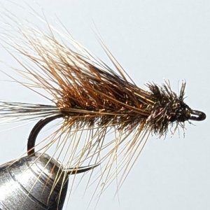 PXL_20250917_034112280.jpg