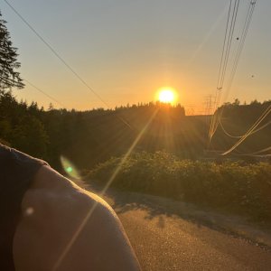 IMG_9355.jpeg