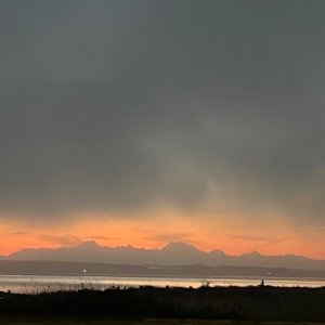 IMG_3916.jpeg