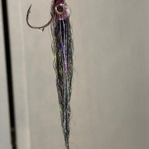 IMG_7956.jpeg