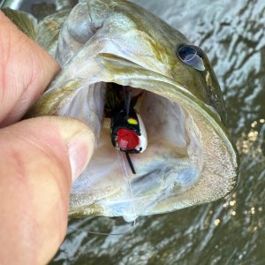IMG_0122.jpeg