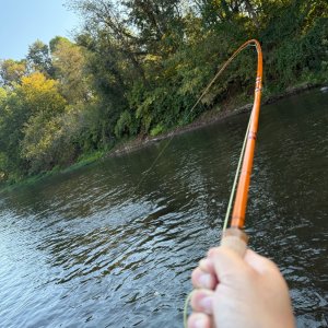 IMG_0121.jpeg