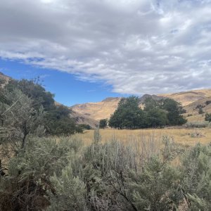 IMG_5099.jpeg