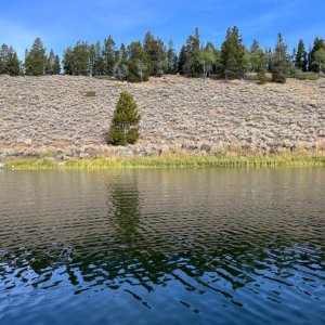 IMG_4019.jpeg
