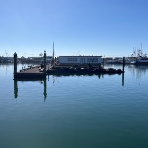 IMG_5025.jpeg