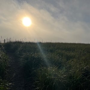 IMG_5035.jpeg