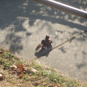 IMG_3943.jpeg