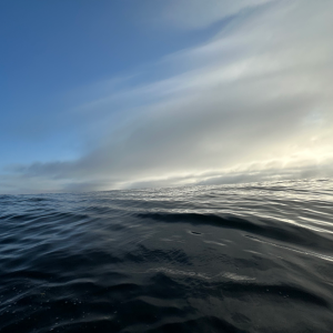 IMG_8292.png