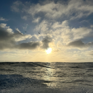 IMG_8290.png