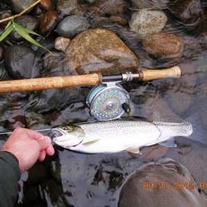 Sept SRC Cowlitz.jpg