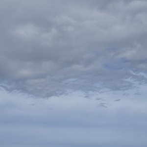 IMG_3978.jpeg
