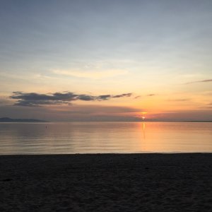 IMG_2523.jpeg
