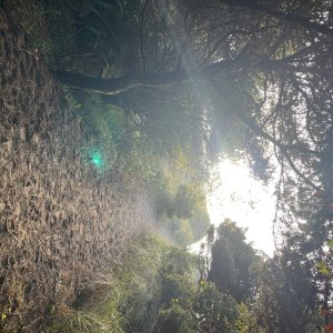 IMG_5028.jpeg