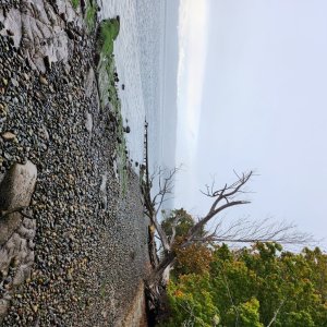 20250929_080913.jpg