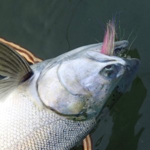 IMG_4028.jpeg
