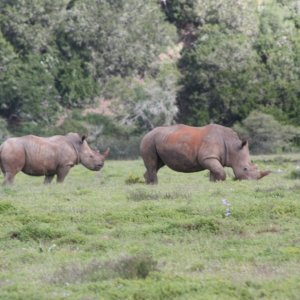 Africa_Karl2011 264.jpeg
