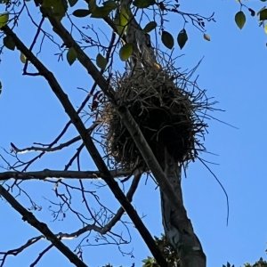 IMG_4086.jpeg