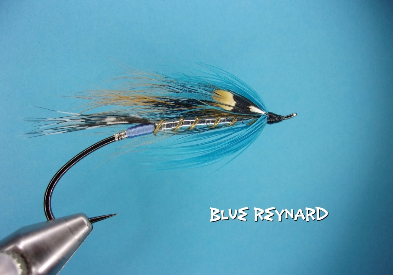 Blue Reynard.jpg