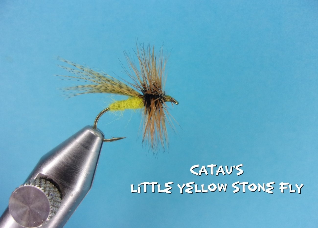 Catau's Little Yellow Stone Fly.jpg