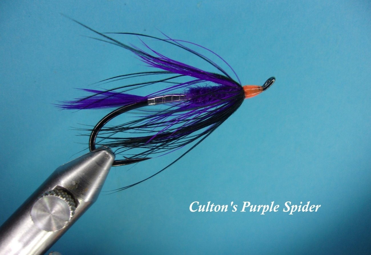 Culton's Purple Spider.jpg