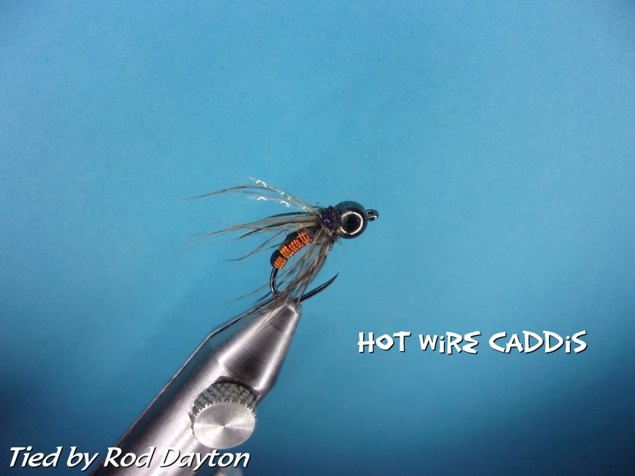Hot Wire Caddis.jpg