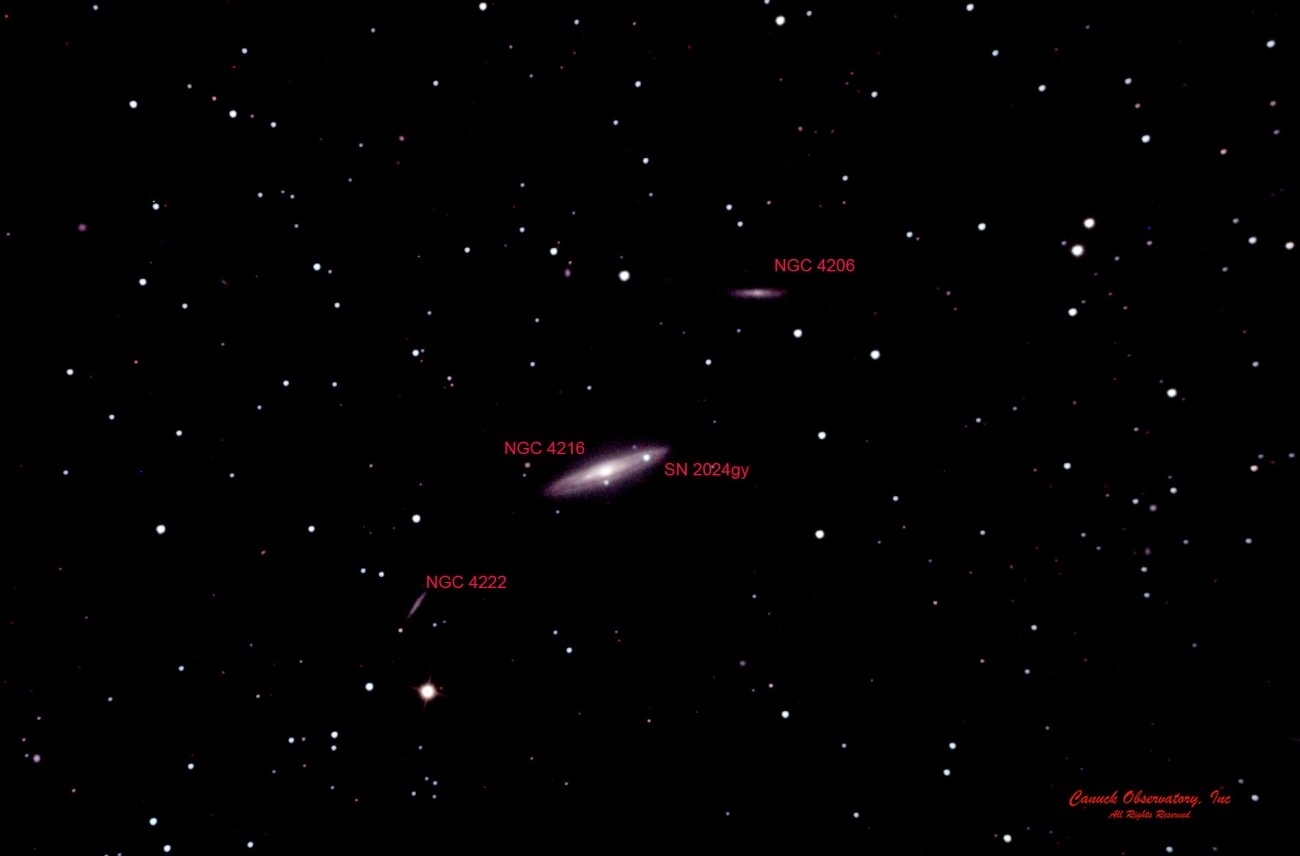 NGC 4216 w SN2024Gy-PS-cropped-labelled copy.jpg