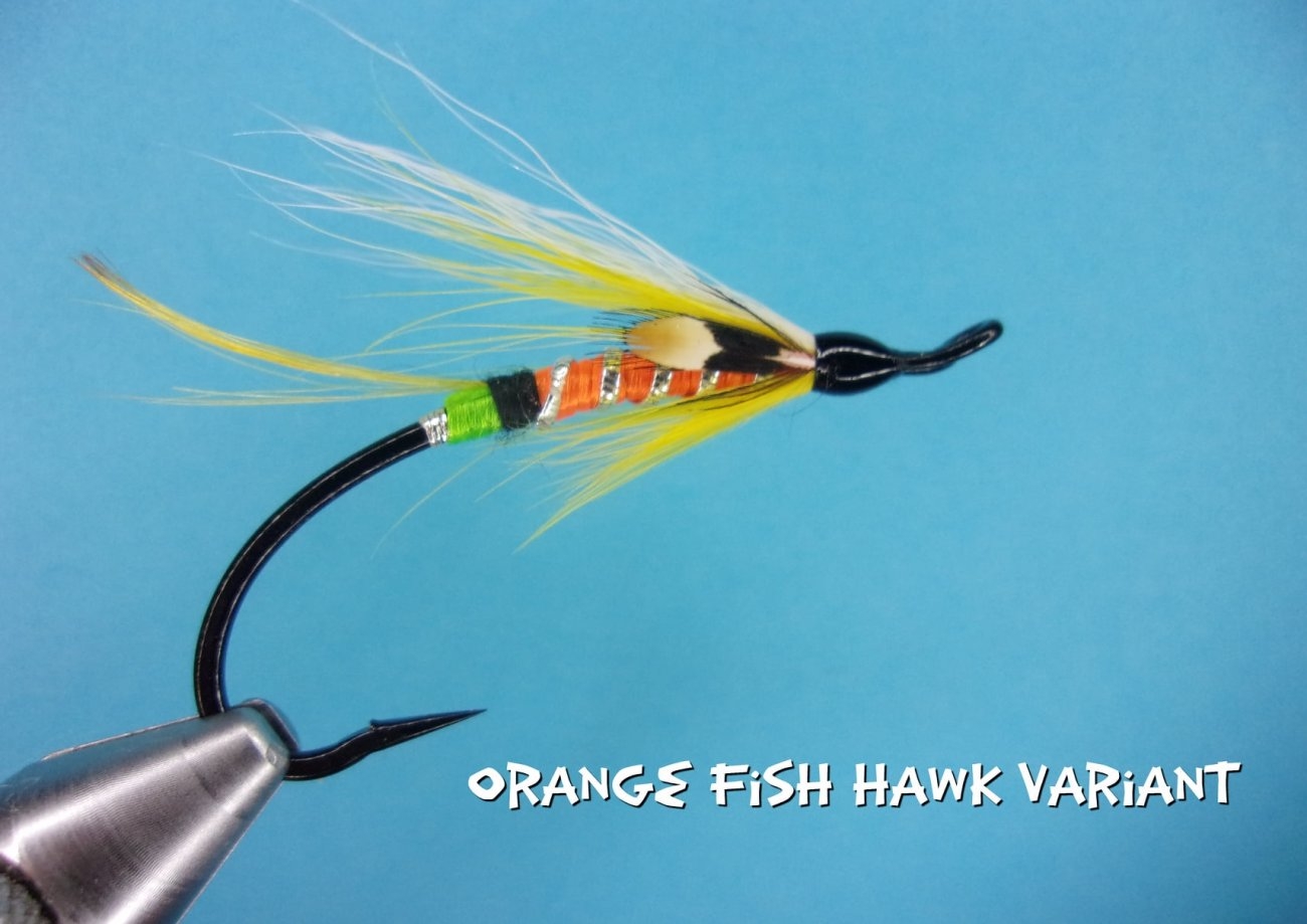 Orange Fish Hawk Variant.jpg