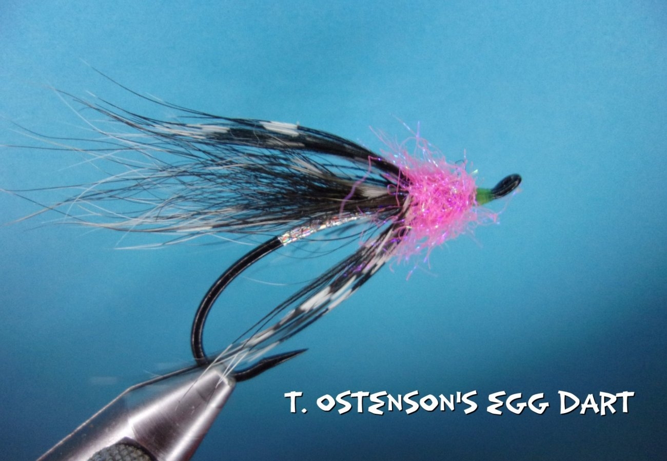T. Ostenson's Egg Dart.jpg