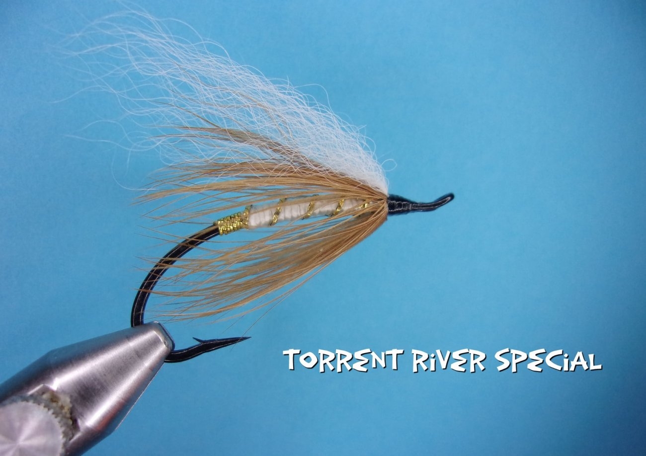 Torrent River Special.jpg